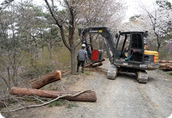 ����ǽ� #1